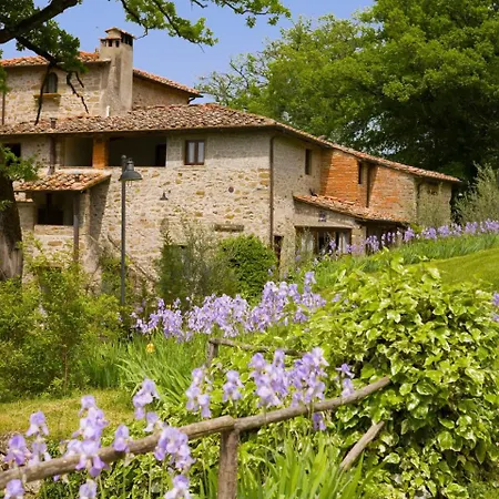 Grassina-1 By Interhome Apartamento Pelago
